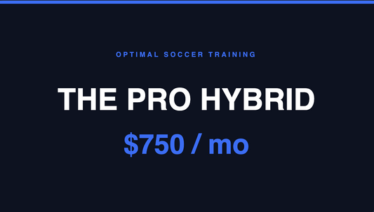 The Pro Hybrid